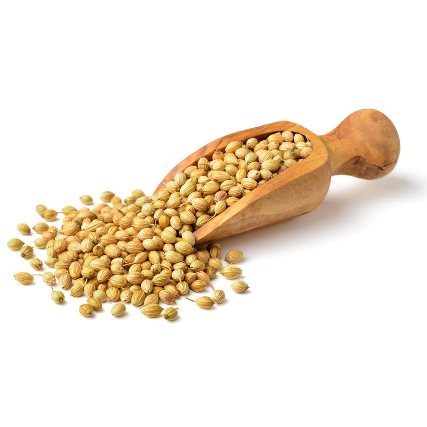 Organic Coriander Whole 100gm