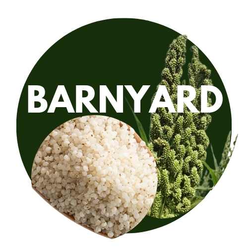 Barnyard Millet unpolished