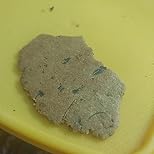 Millet Amma Baked Bajra Methi Bhakhri - 360 Gms | (Pack of 2 - Each 180 Gms) | Ready to Eat | Best Choice for Snack Time, Parties & Events | Healthy Traditional Gujarati Snacks