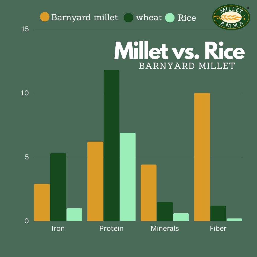Barnyard Millet Flour Organic - 500gm