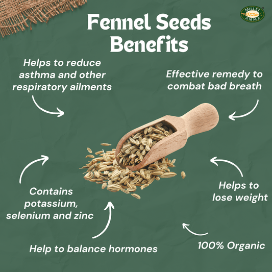Fennel Seeds (saunf) Organic 200gm