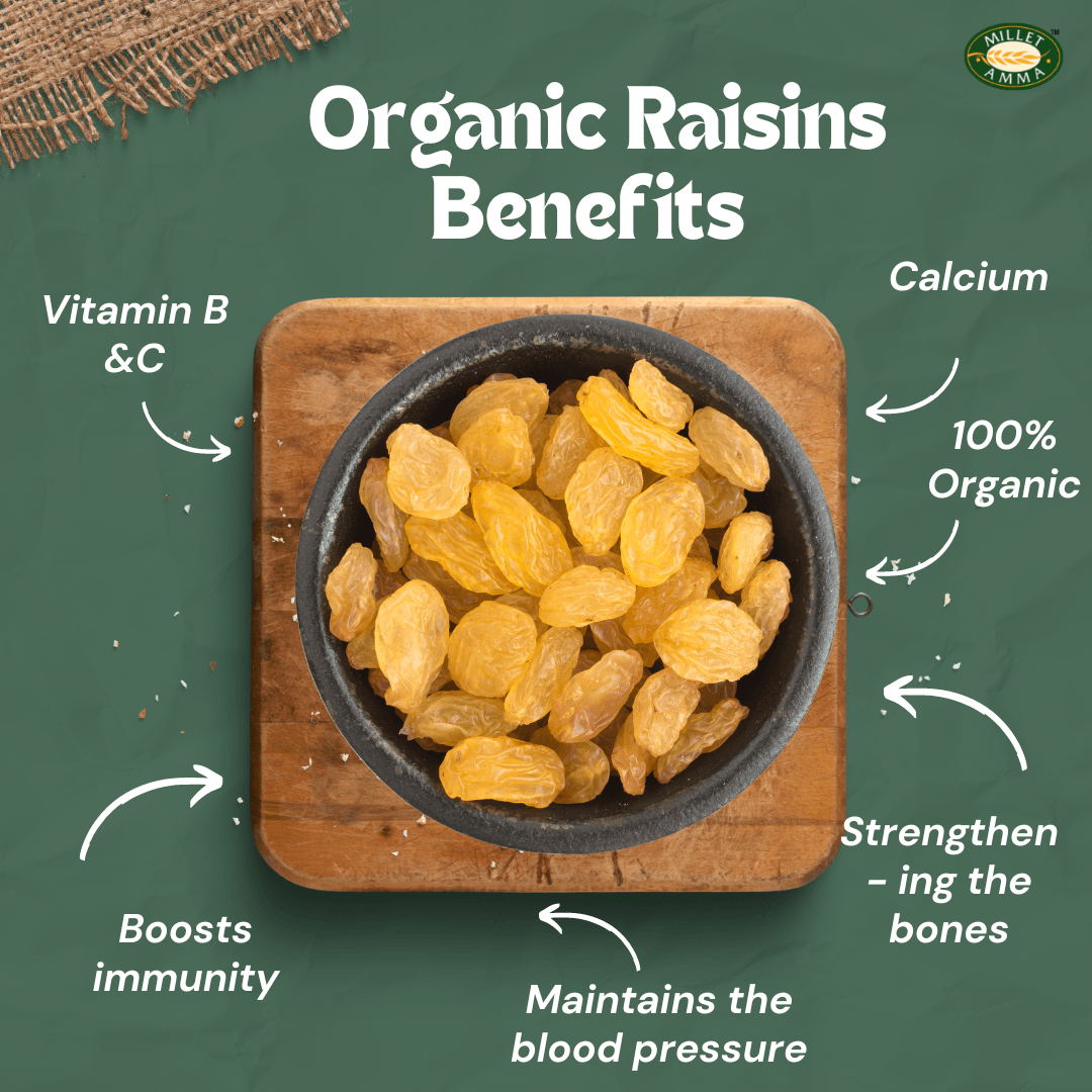 Organic Raisins (Dry Grapes) 250gm | Rich in Antioxidants & Source of Vitamins, Minerals | Helps in Strengthening The Bones & Boosting Immunity | 100% Vegan & Gluten Free