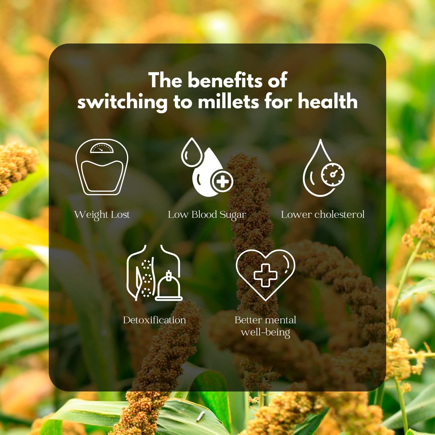 GOLDEN MILLETS Foxtail Millet Flakes 500gm