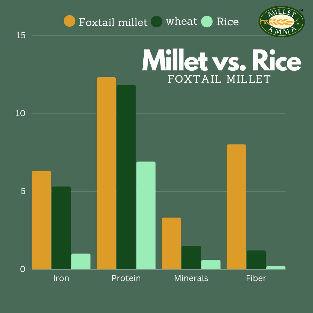 Organic Millet Khichdi Mix | 250 GMS Pack | 65% Millet Content | Easy & Ready to Cook | Instant Millet Breakfast Mix | Rich in Protein & High Fiber | 100% Vegan